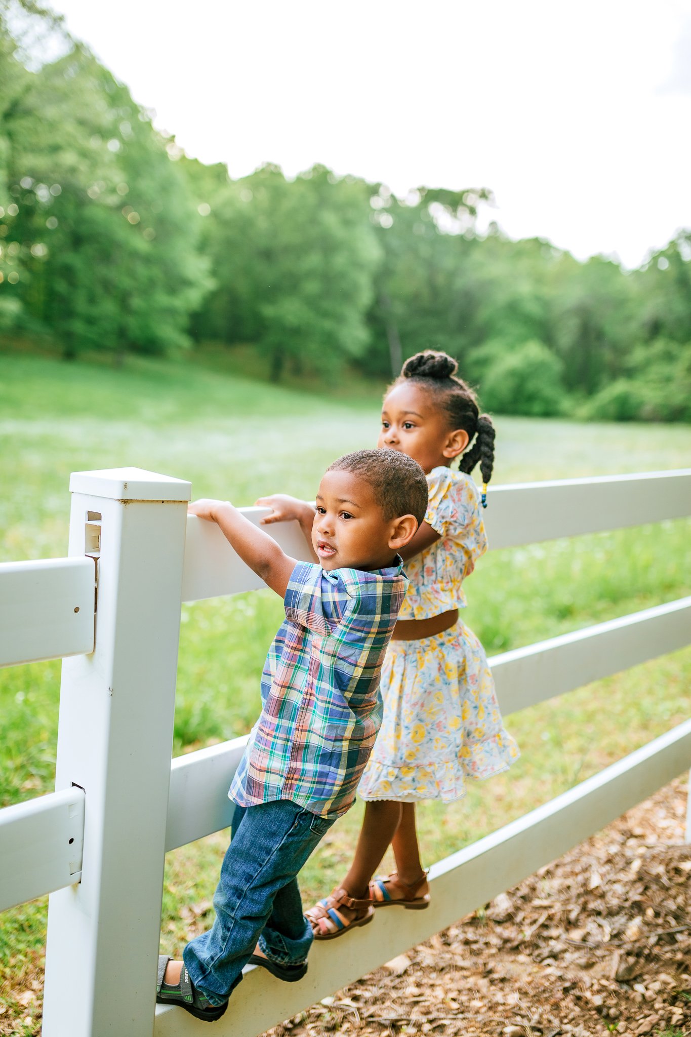 Batesville, Arkansas Family Photographer