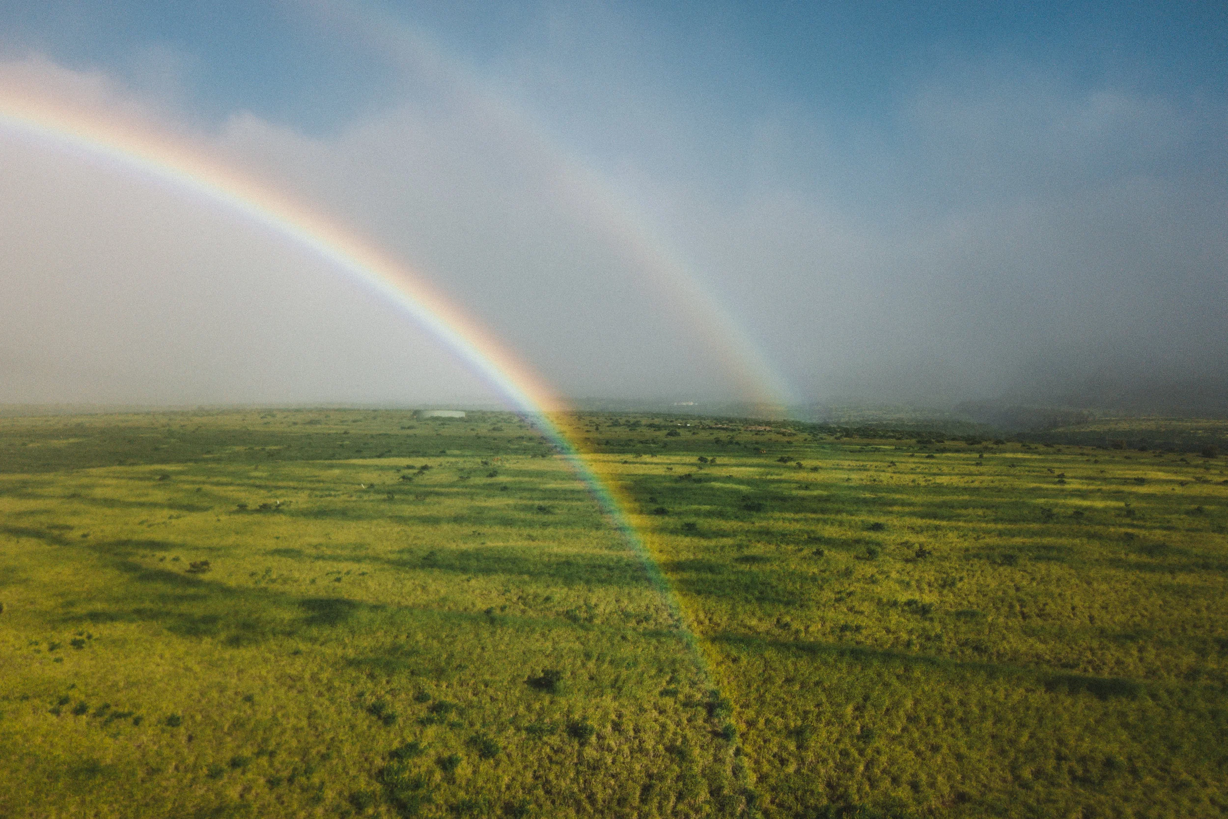 DJI_0133.jpg