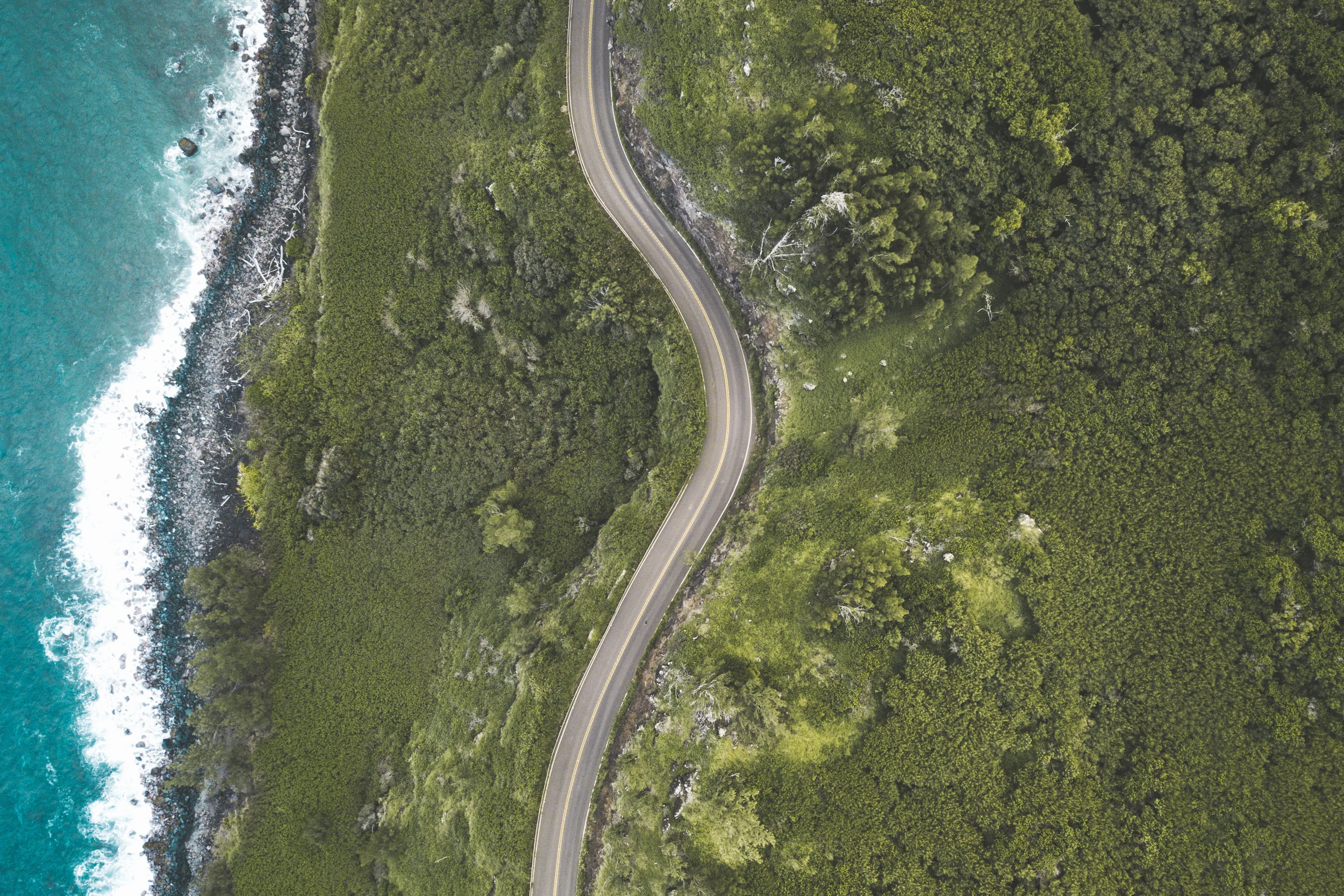 DJI_0154.jpg