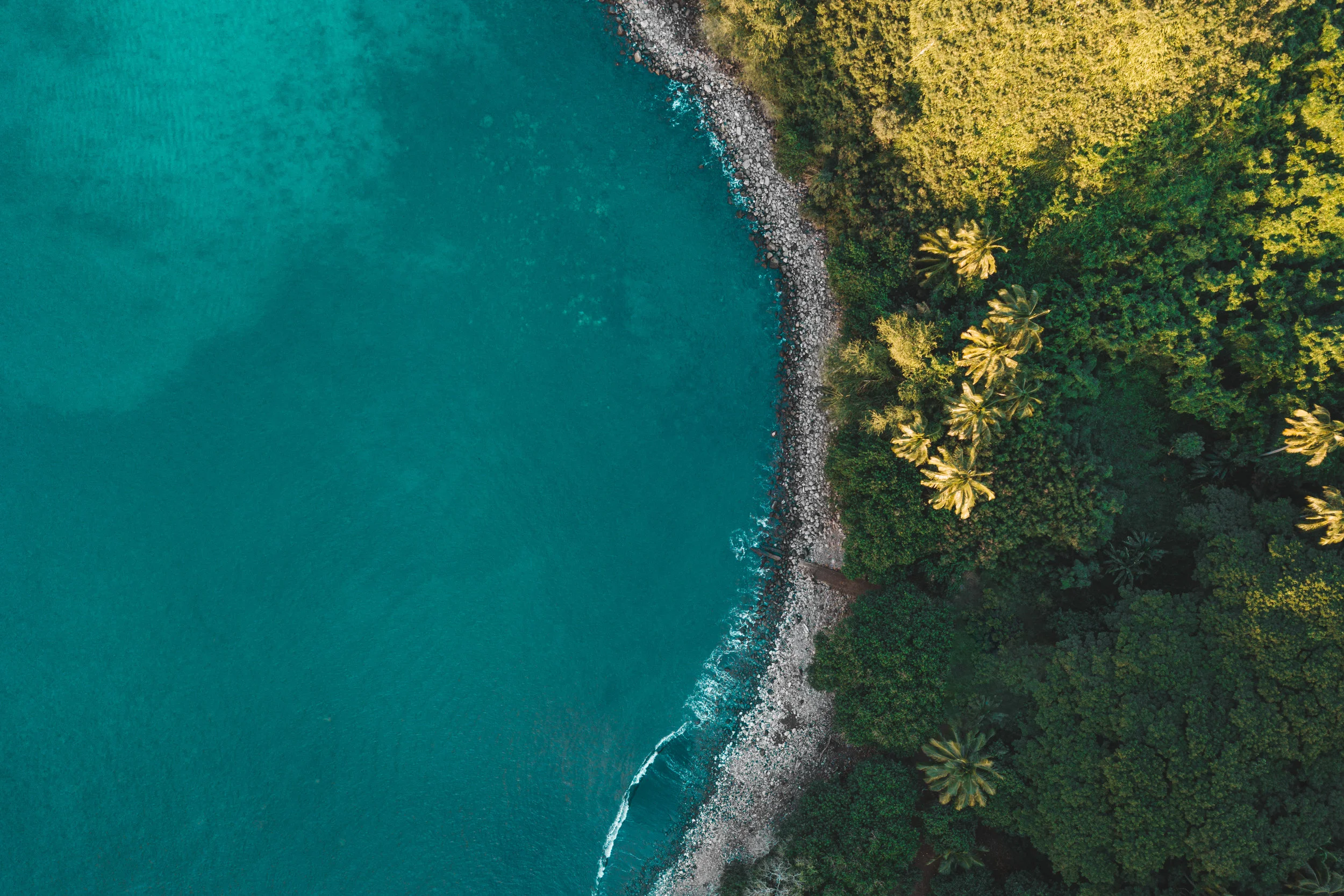 DJI_0199.jpg