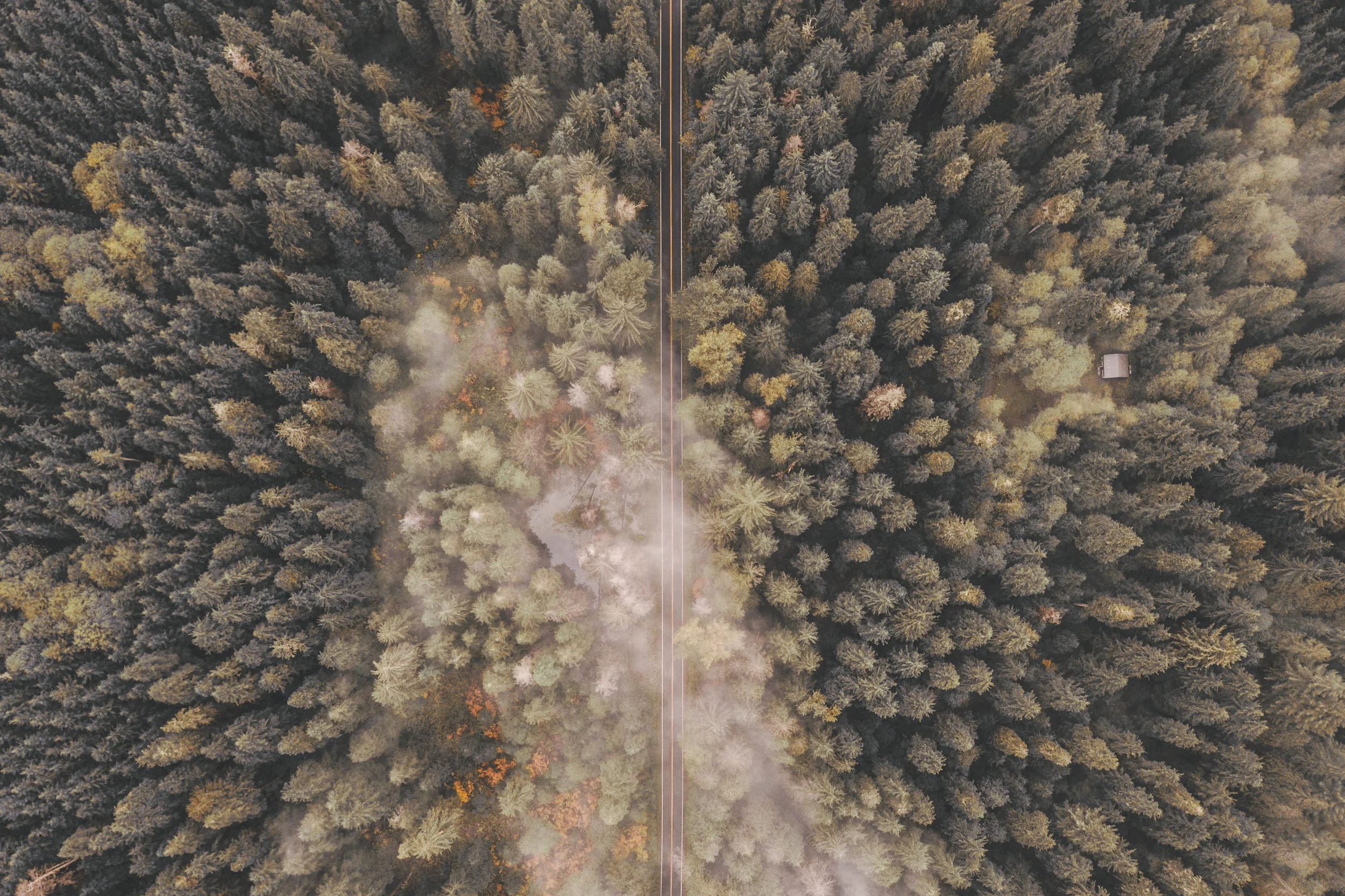 DJI_0140 (2).jpg