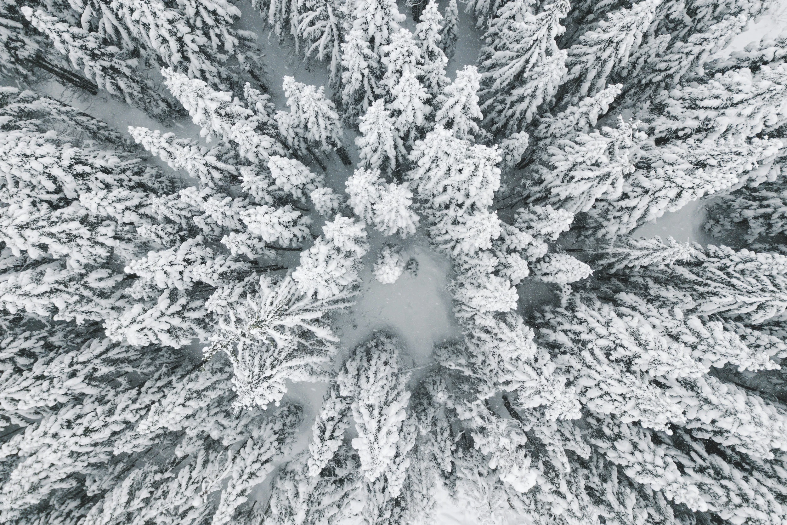 DJI_0074.jpg