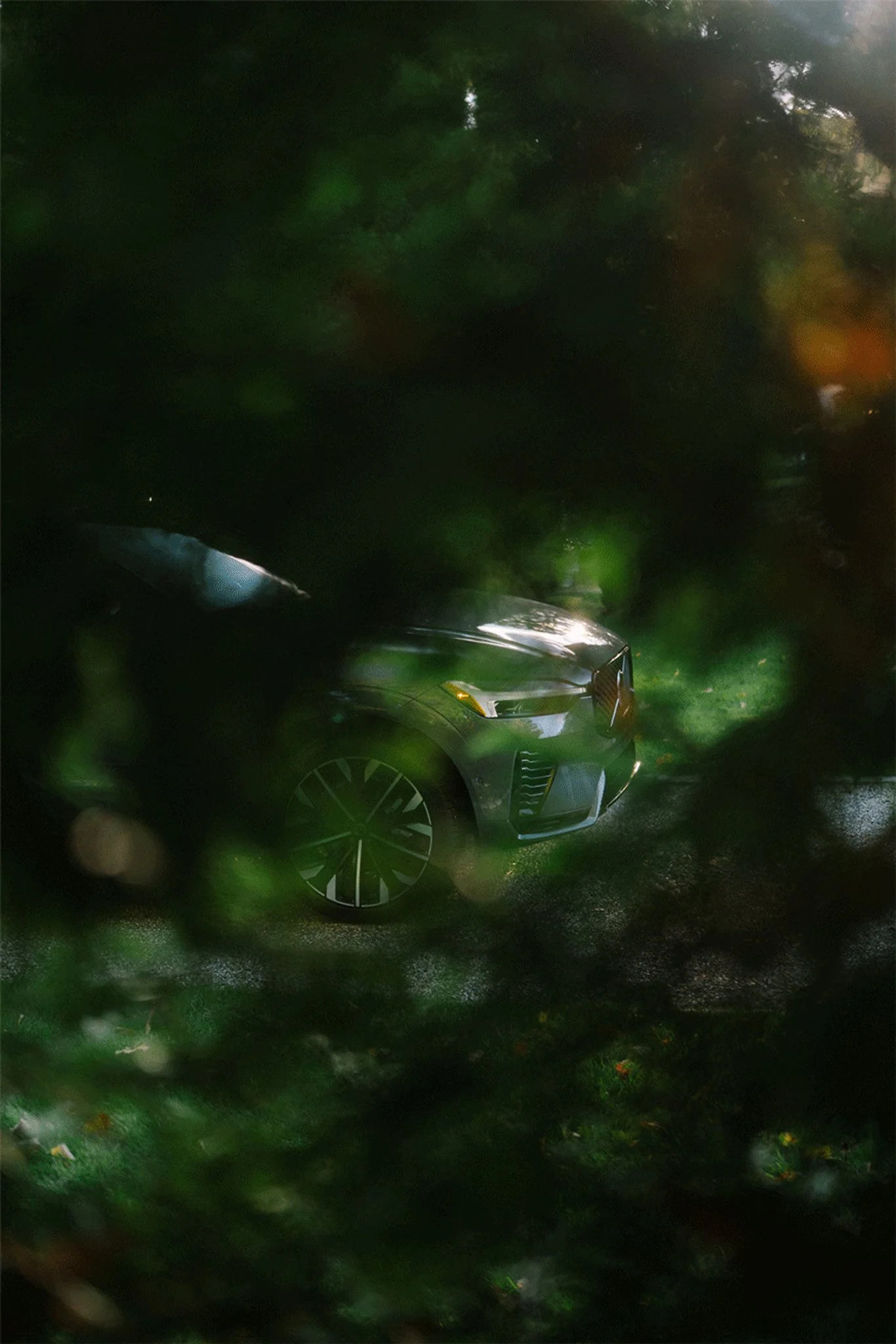 3D-Vertical-Bokeh 1.jpg