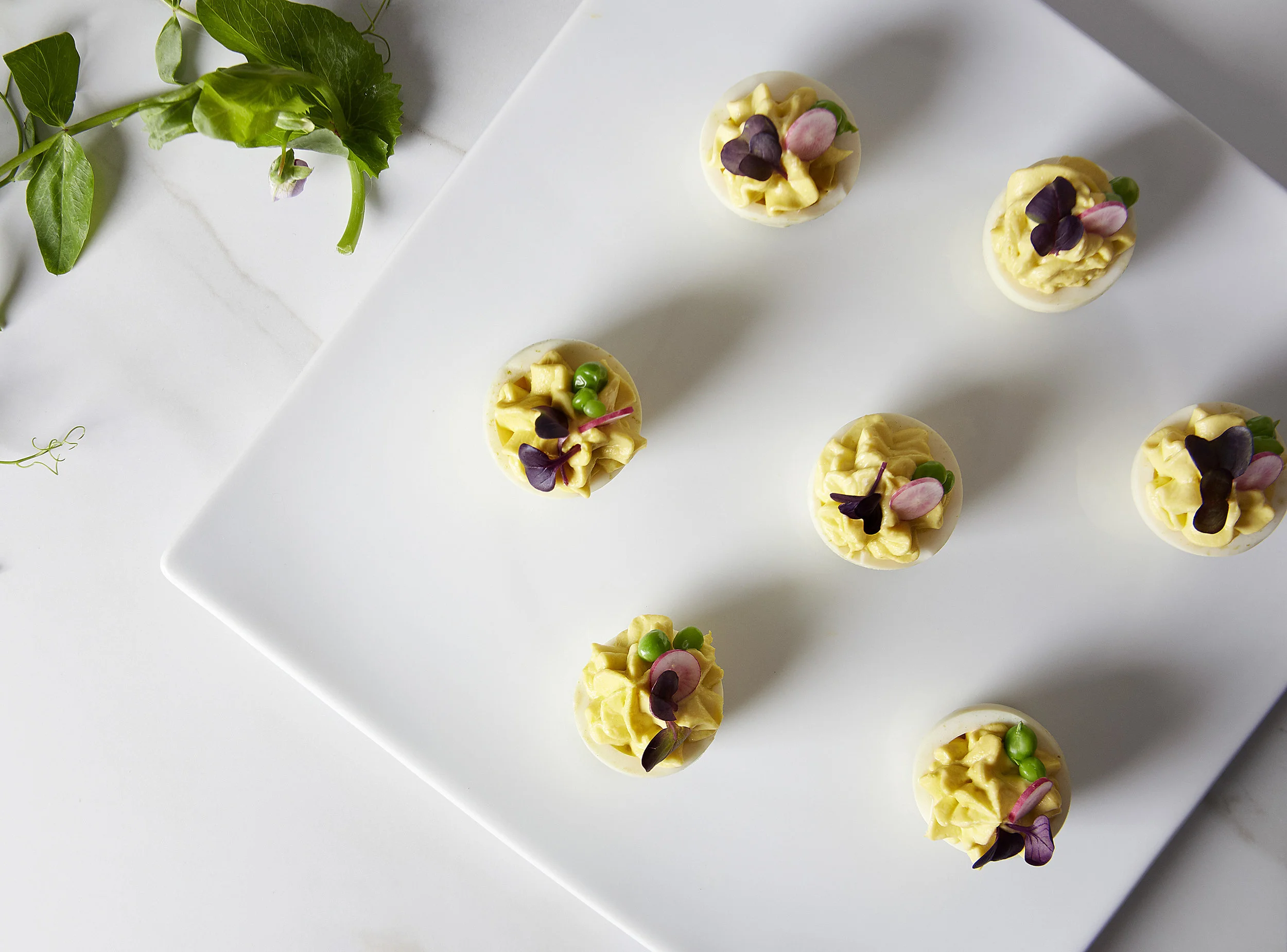 The Food — Chef Cava