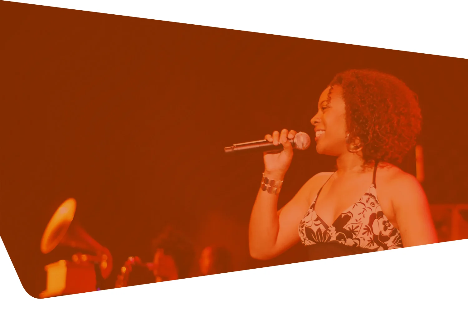 mpl_banner_singer_02.jpg