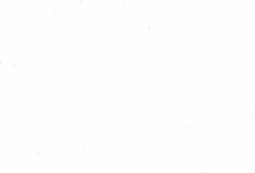 white.jpg