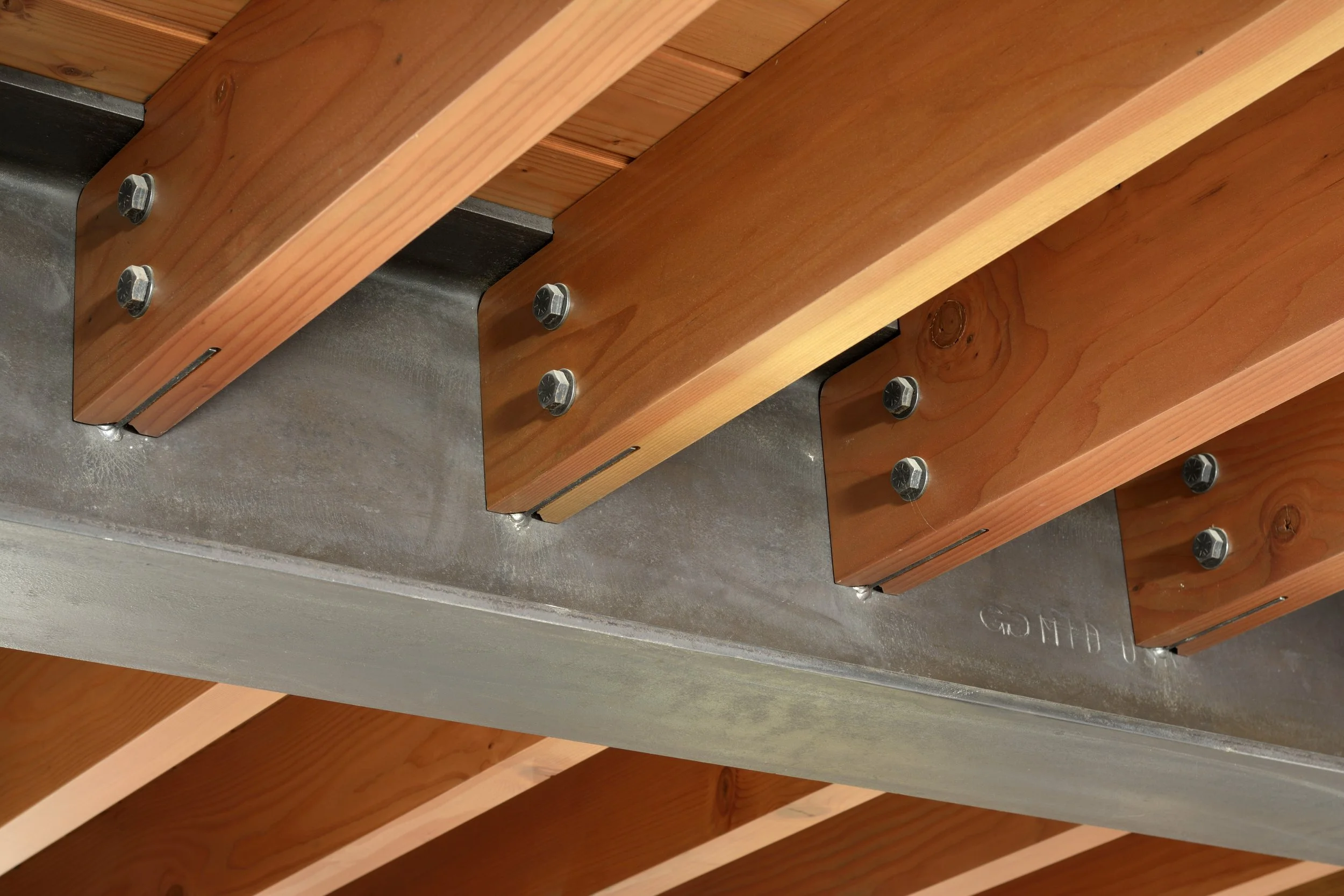 Fleischauer 1286.JPG