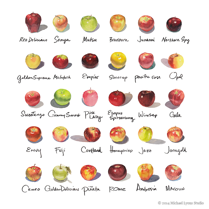 national opal apples day Template