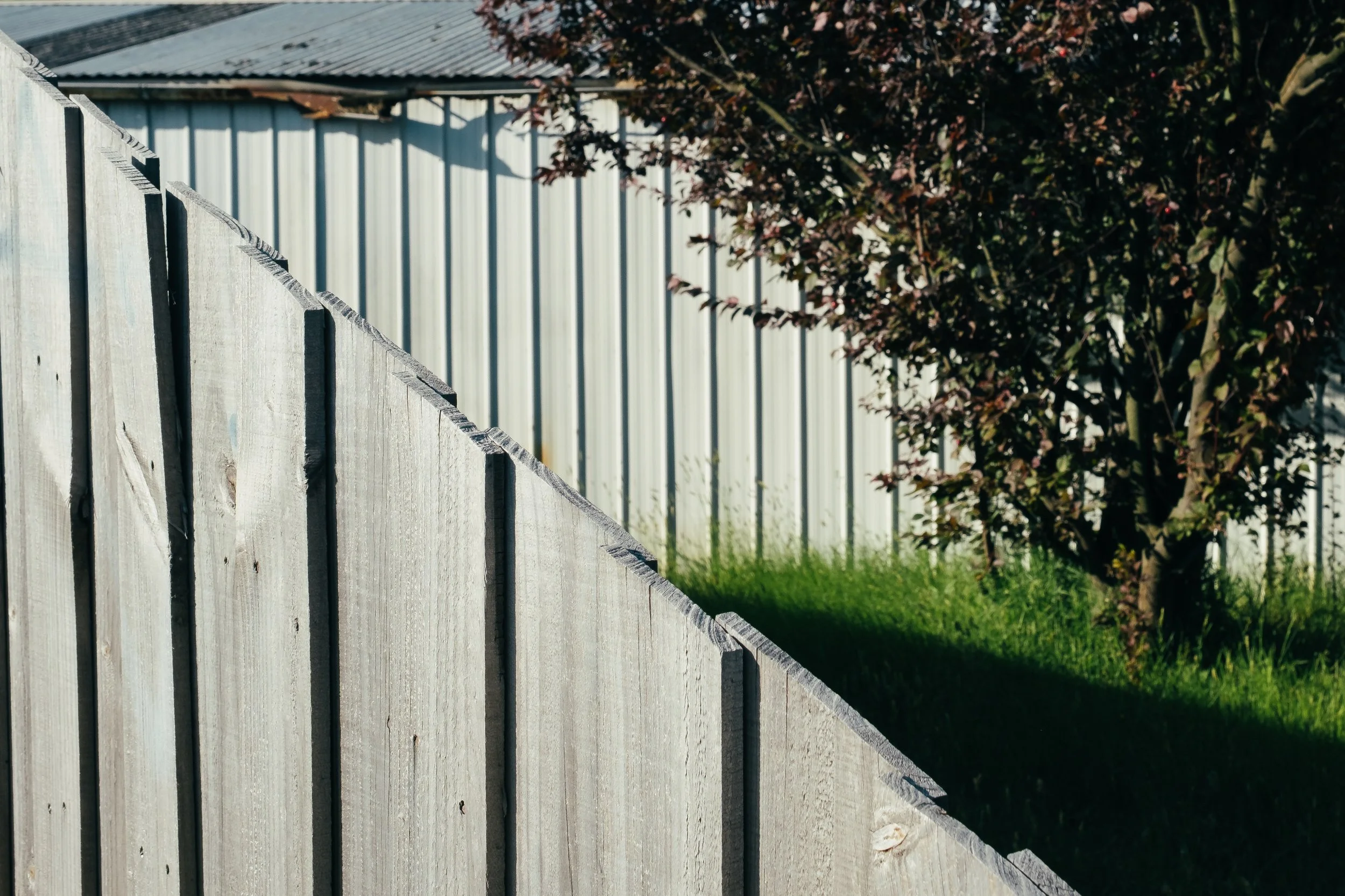 fence 2.jpg