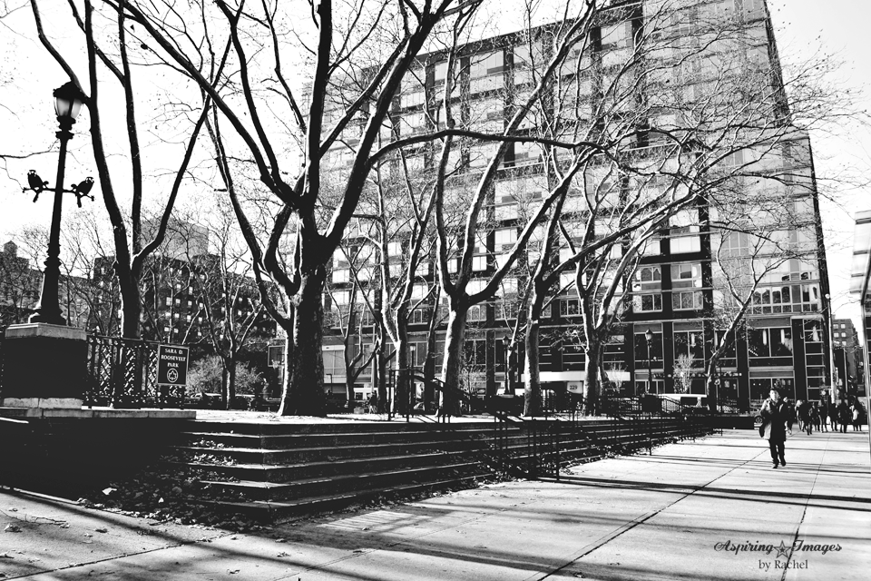 2010_Dec_NYC_Roosevelt_Park-web