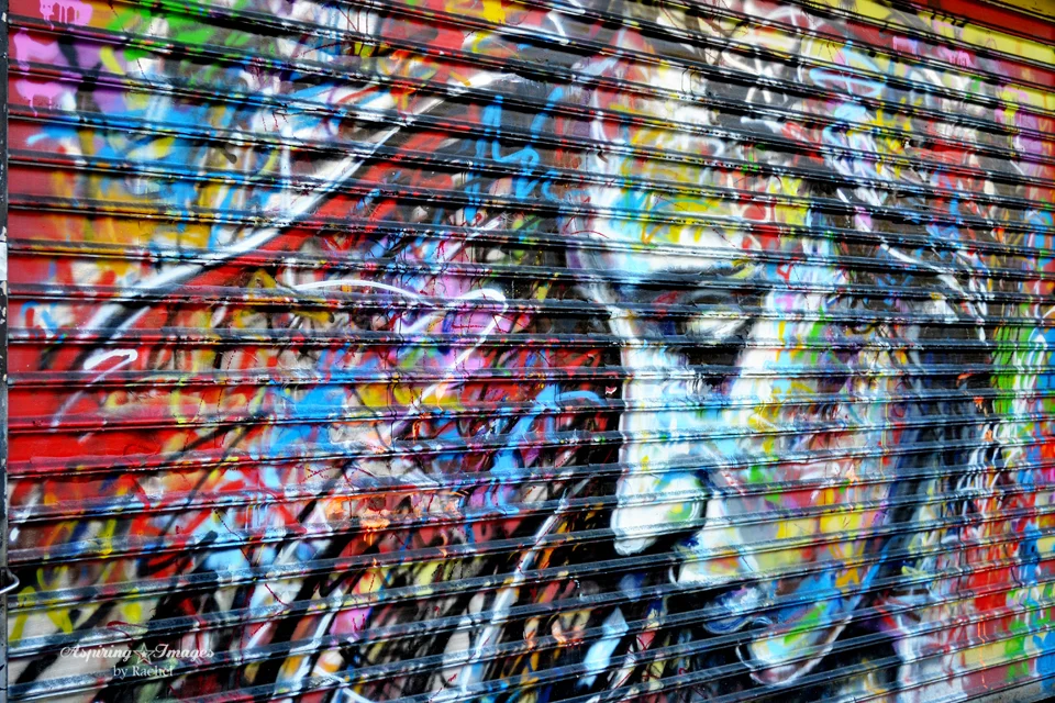 2010_Dec_NYC_Graffitti_Door-web