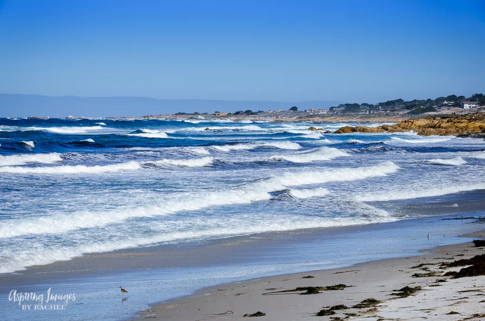 Pebble Beach, California