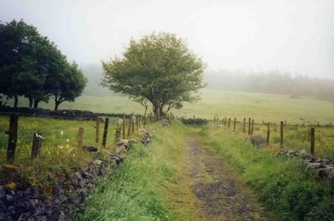 The photo that inspired this post (2003)