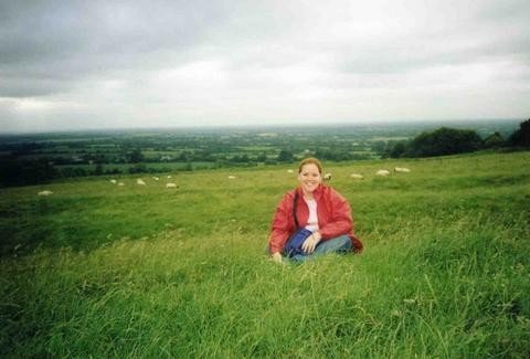 How I prefer my sheep - at a distance (2003)