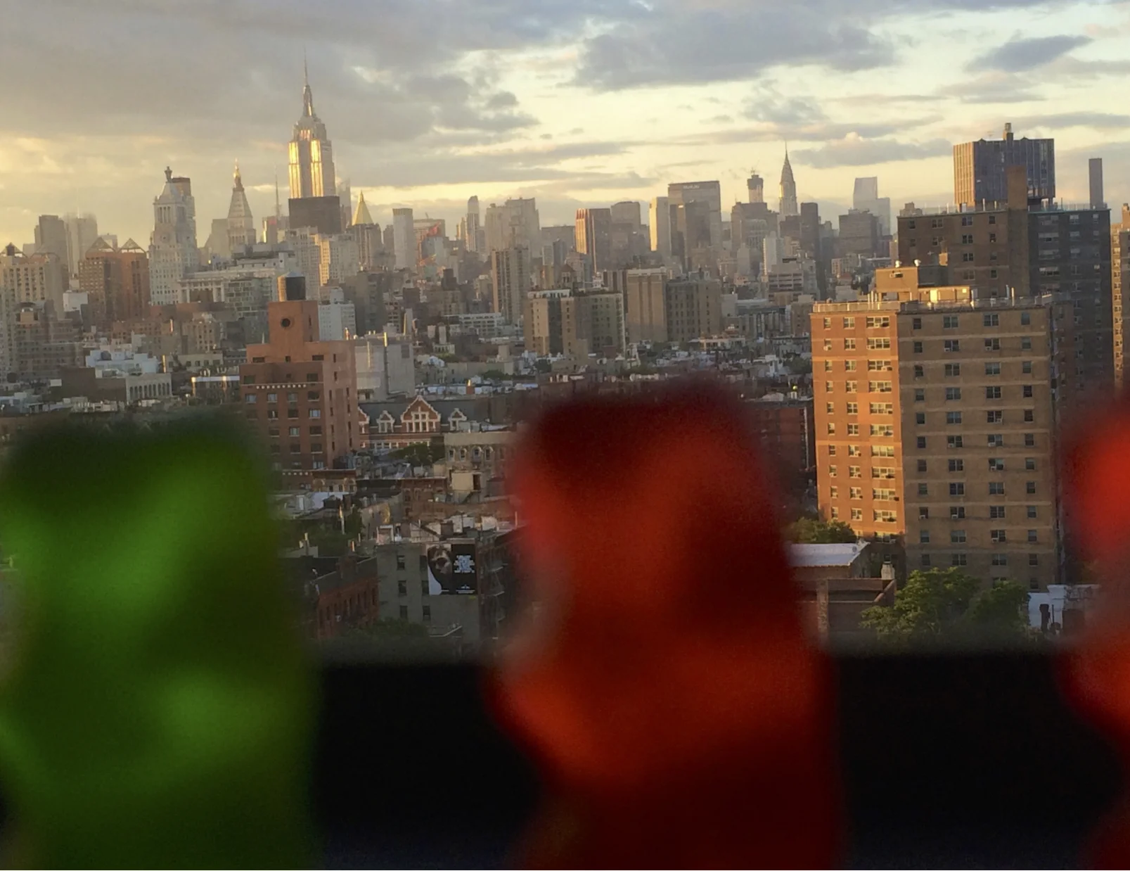 Gummy - OTF NYC.jpg