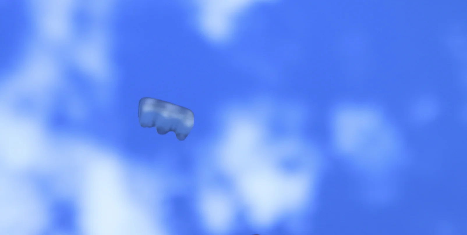 Flying single bear.jpg