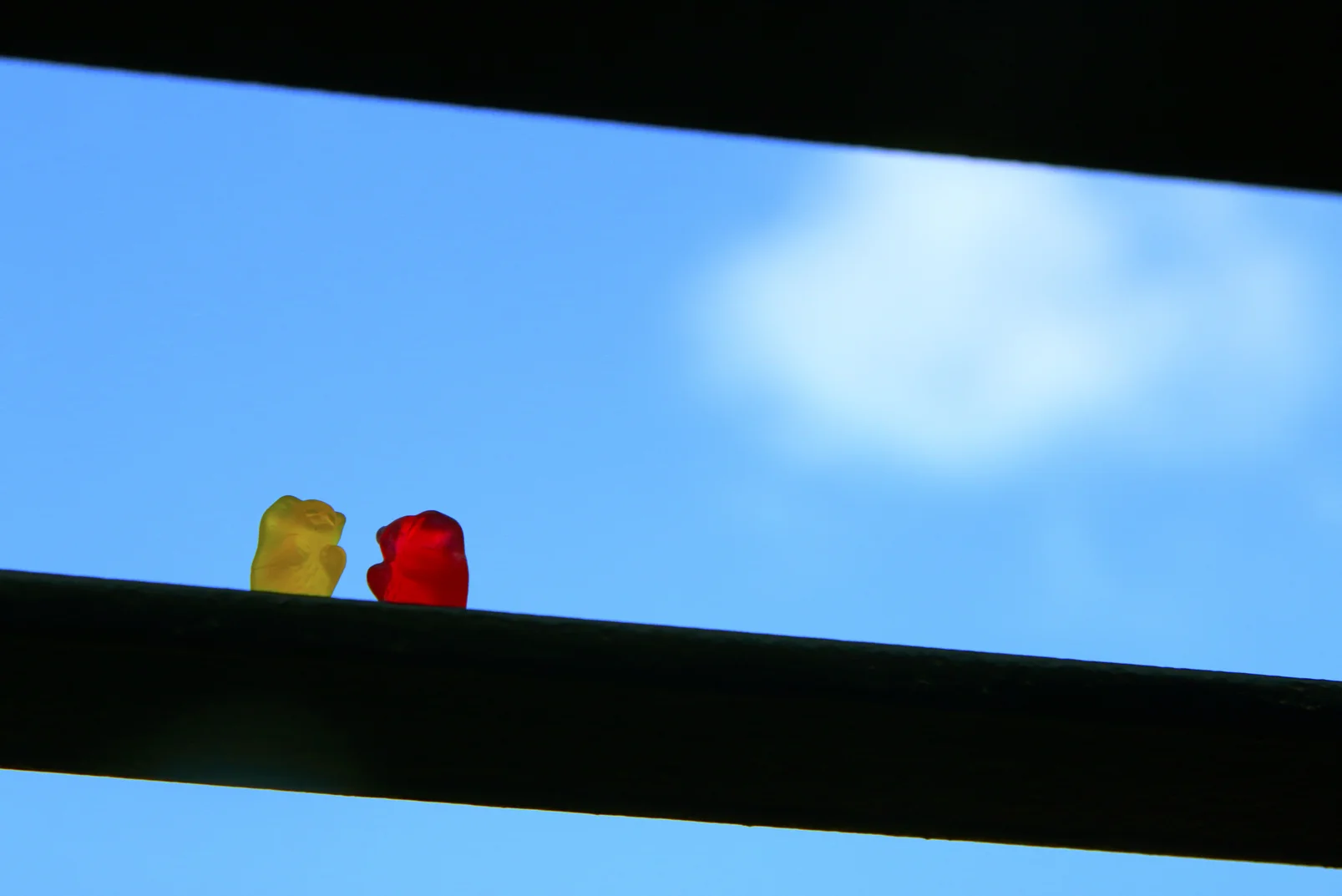 Up on high.jpg