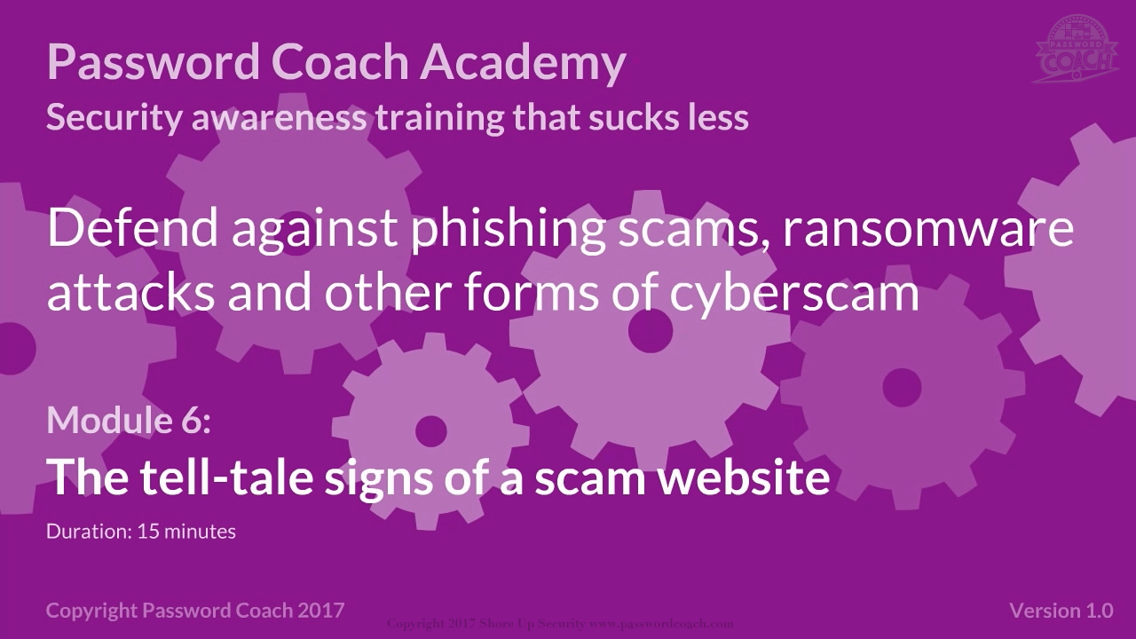 Module 6 – The tell-tale signs of a scam website