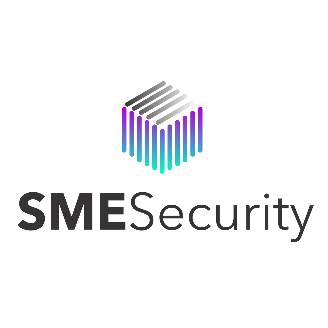 SMESecurity – customised IT security and privacy deployments for private individuals