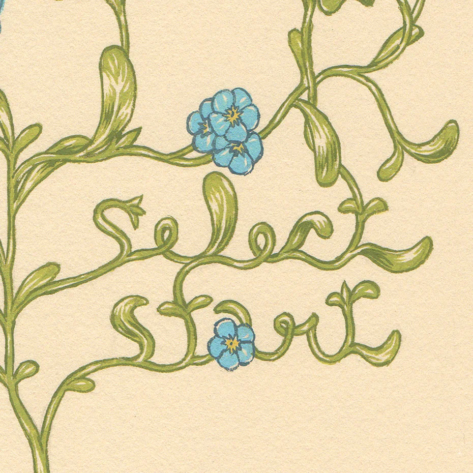 forgetmenotdetail.jpg