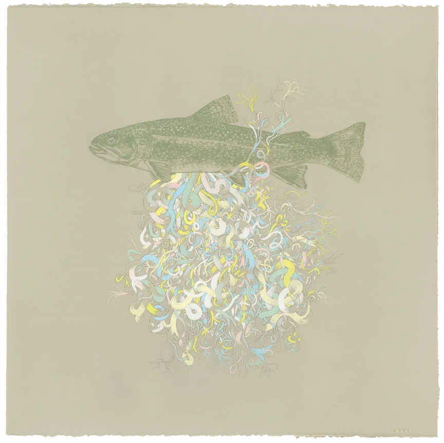 1hroftvtrout4sm.jpg