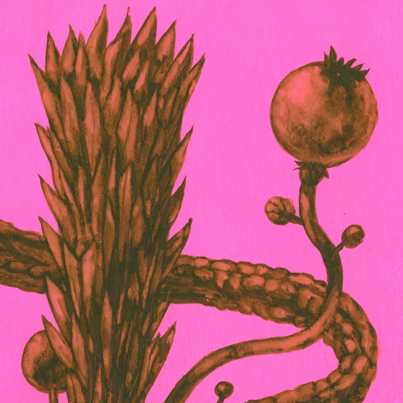 Exobotanical 2 (Detail)