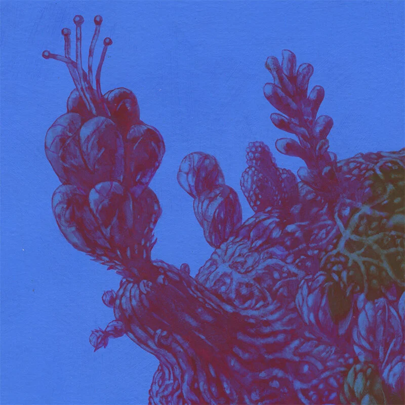 Exobotanical 4 (Detail)