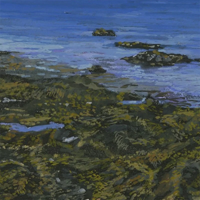 OwlsHeadBeach051923D1.jpg