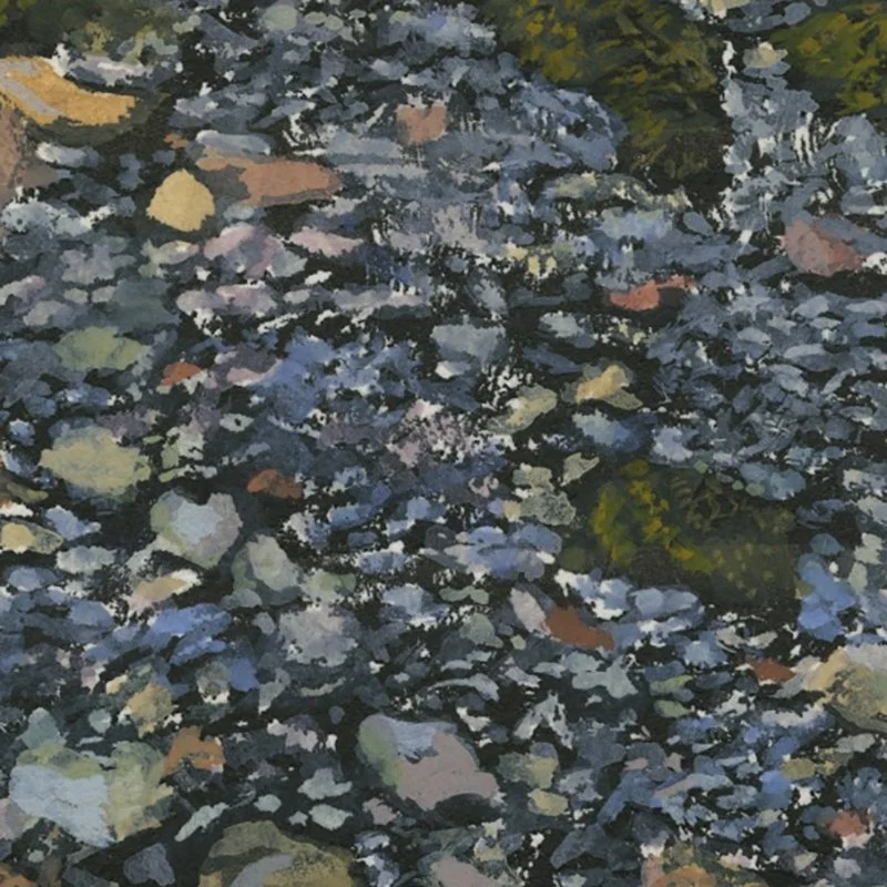 OwlsHeadBeach051923D2.jpg