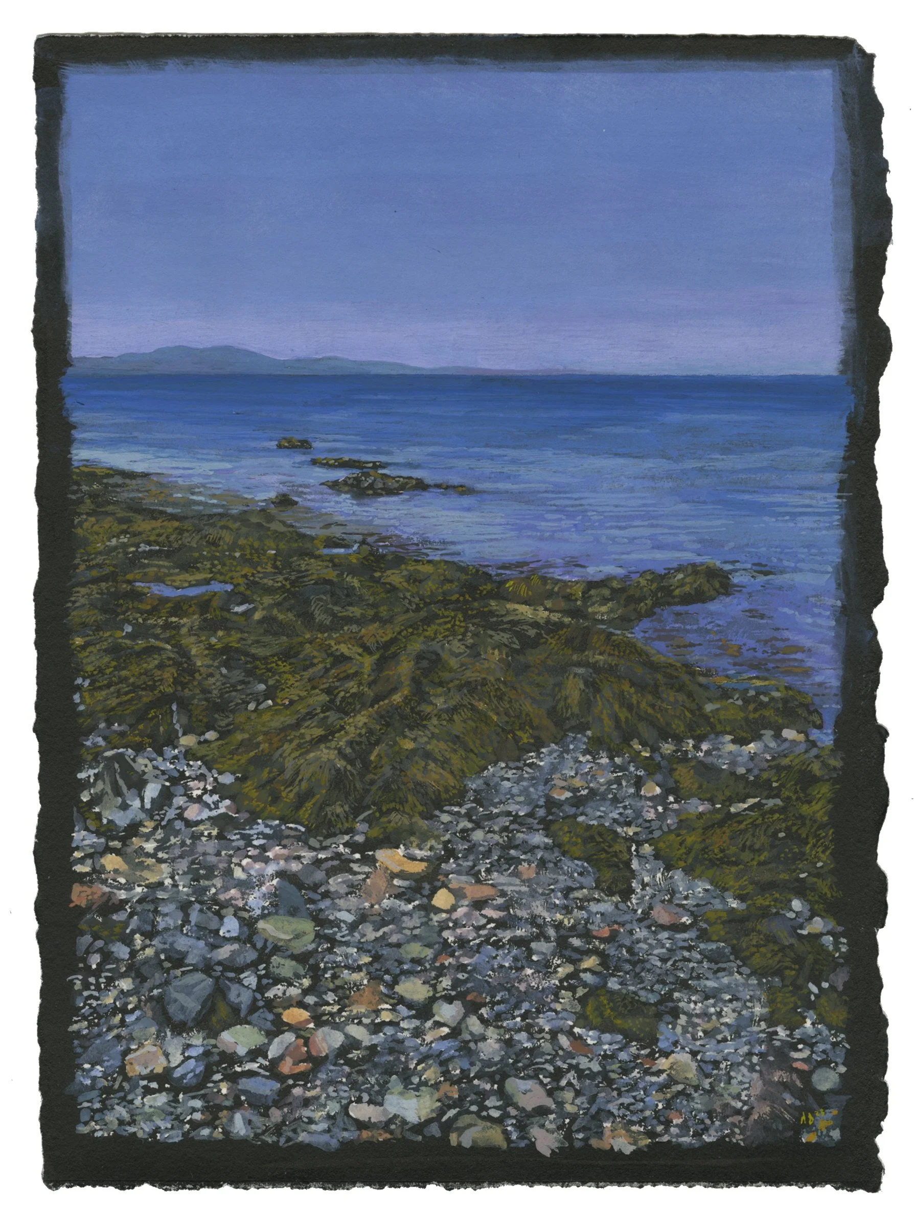 OwlsHeadBeach051923Uncropped.jpg