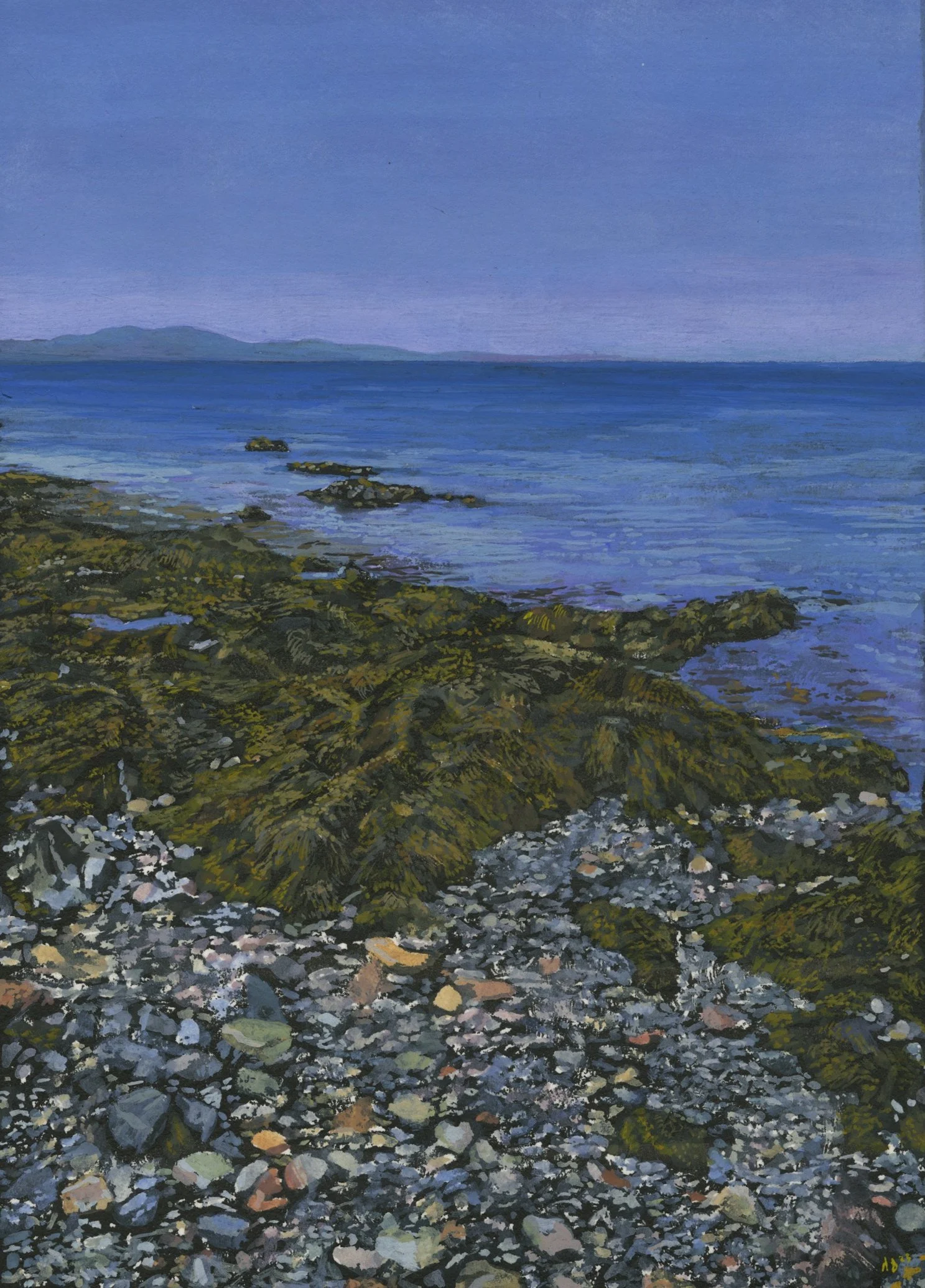 OwlsHeadBeach051923.jpg