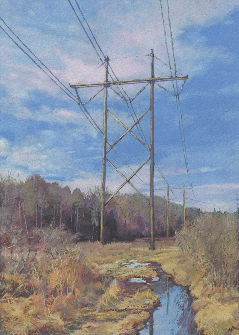 Power Lines, North Yarmouth, ME 01/02/25