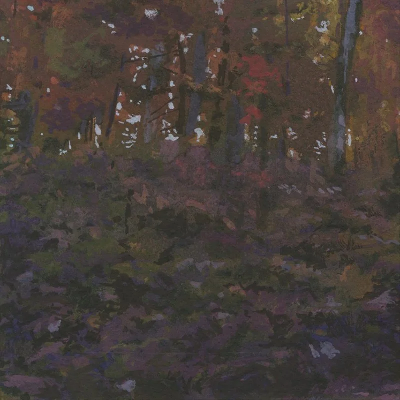 TrailSunriseFlagstaffLakeME100525D1.jpg