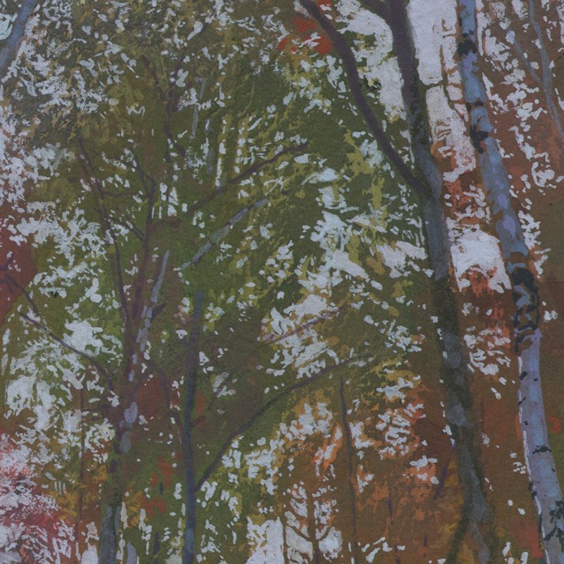 TrailSunriseFlagstaffLakeME100525D2.jpg