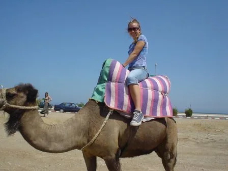camel.jpg