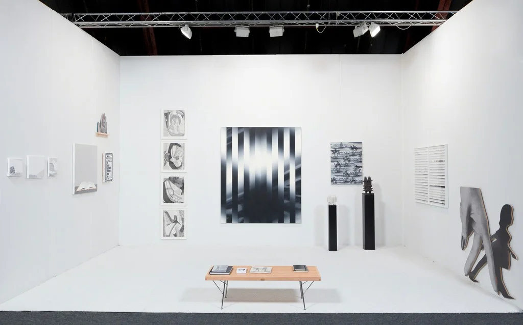 ART LOS ANGELES CONTEMPORARY with ANAT EBGI, LOS ANGELES, JANUARY 2017