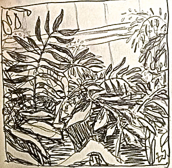 Grey Greenery