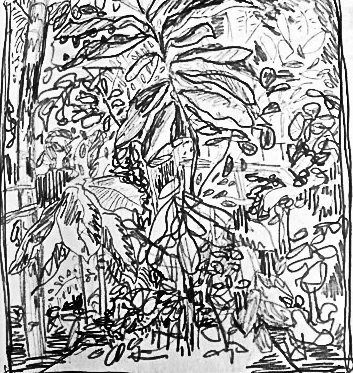 Terrarium
