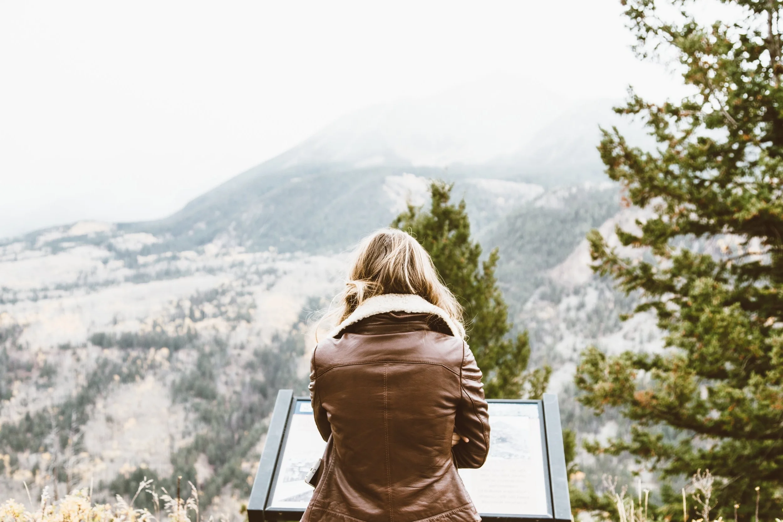 pexels-photo-225970 (1).jpeg