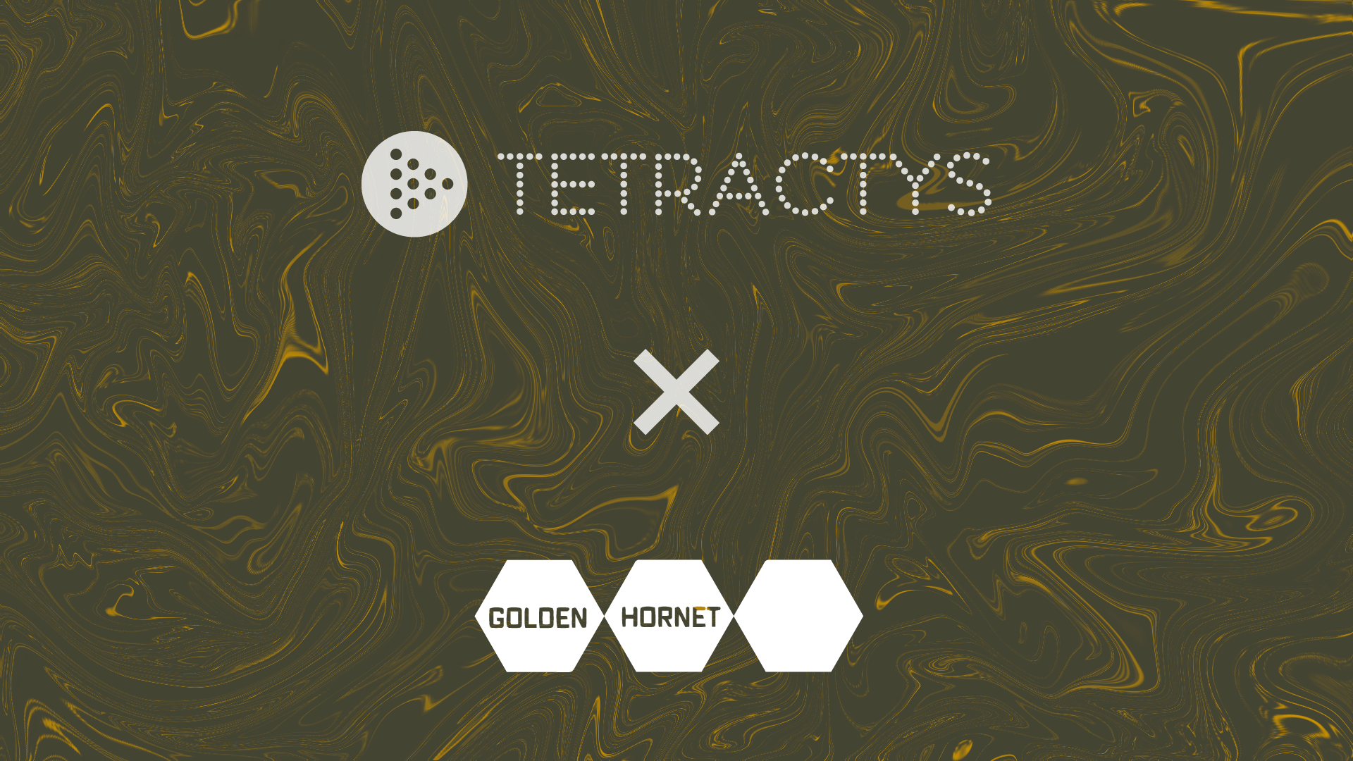 Tetractys x Golden Hornet