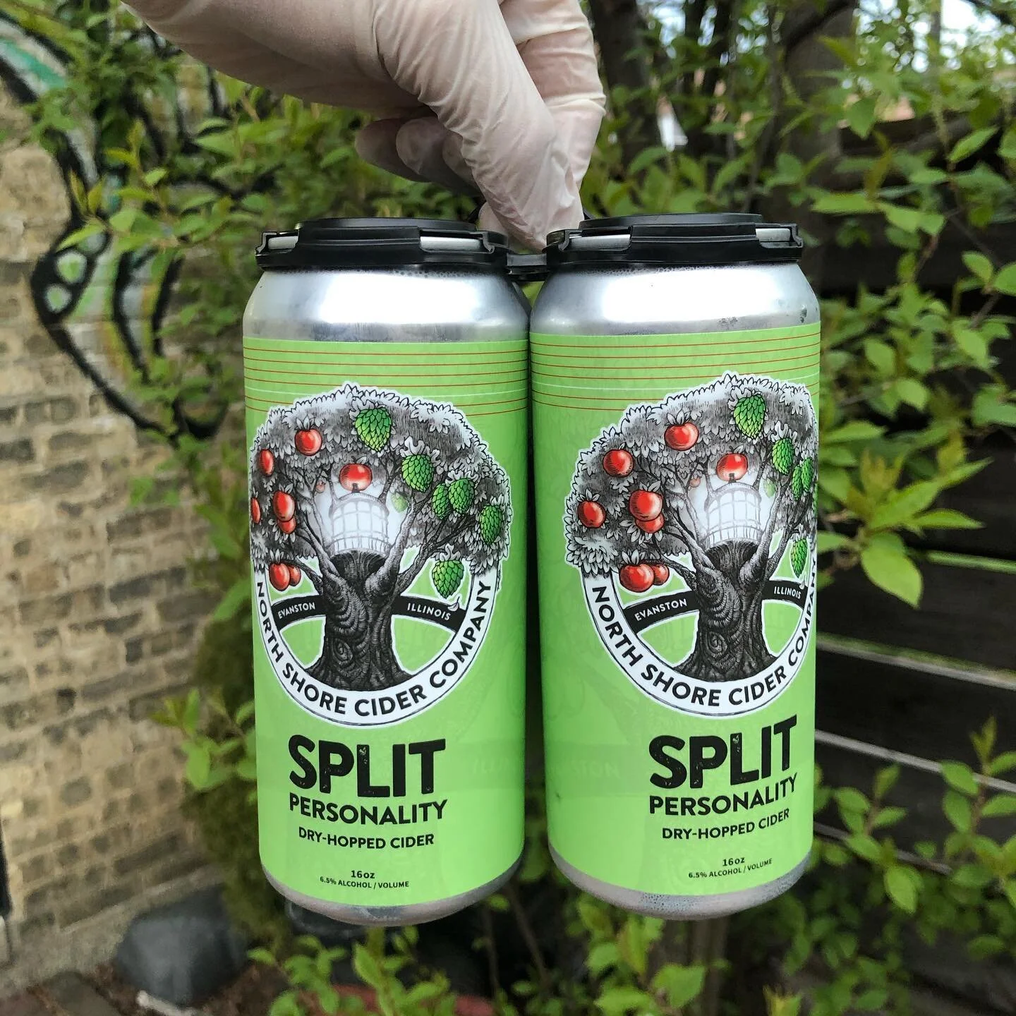 Cider.jpg