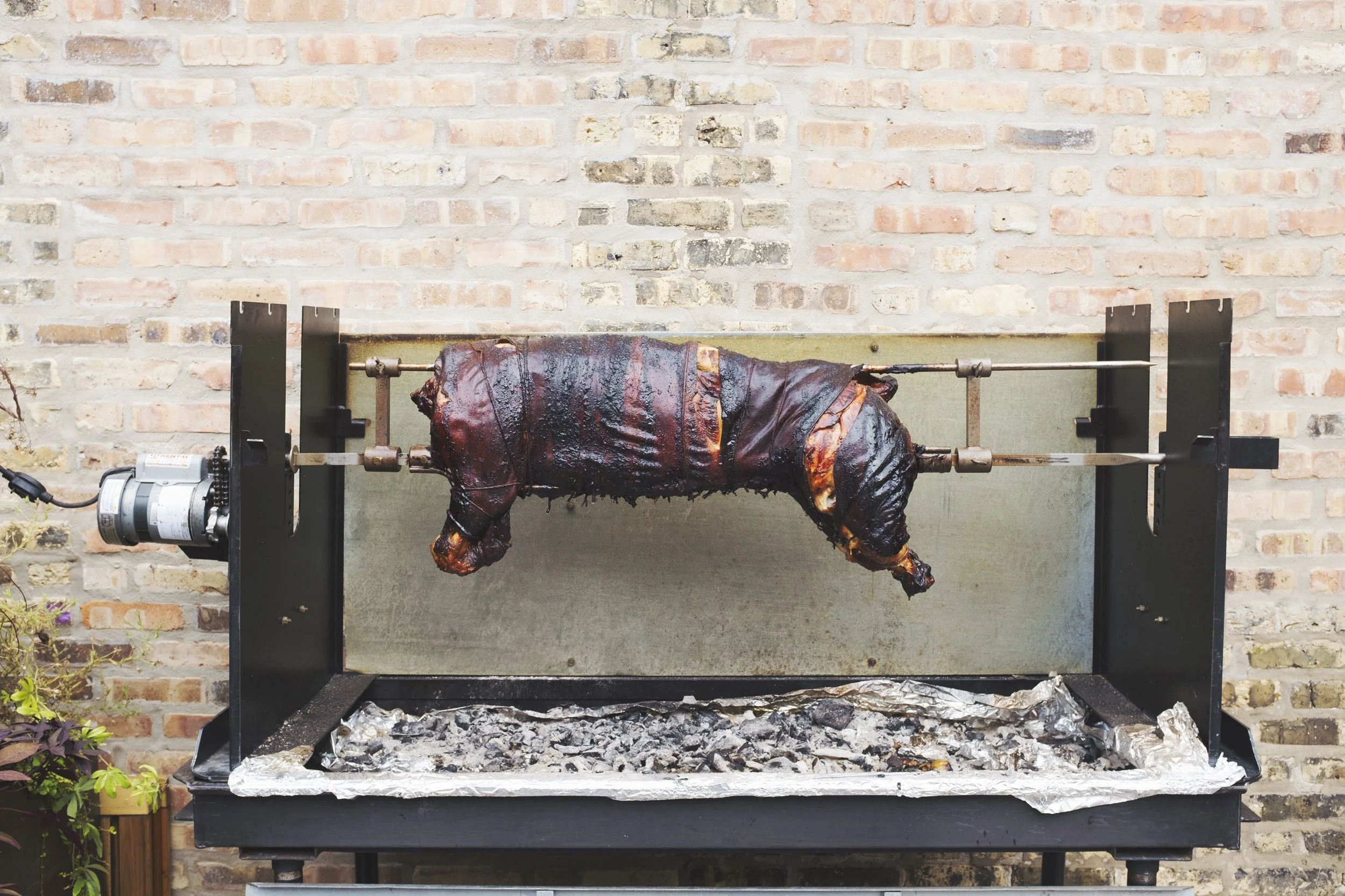 scm_pp_pigroast_091717_010.jpeg