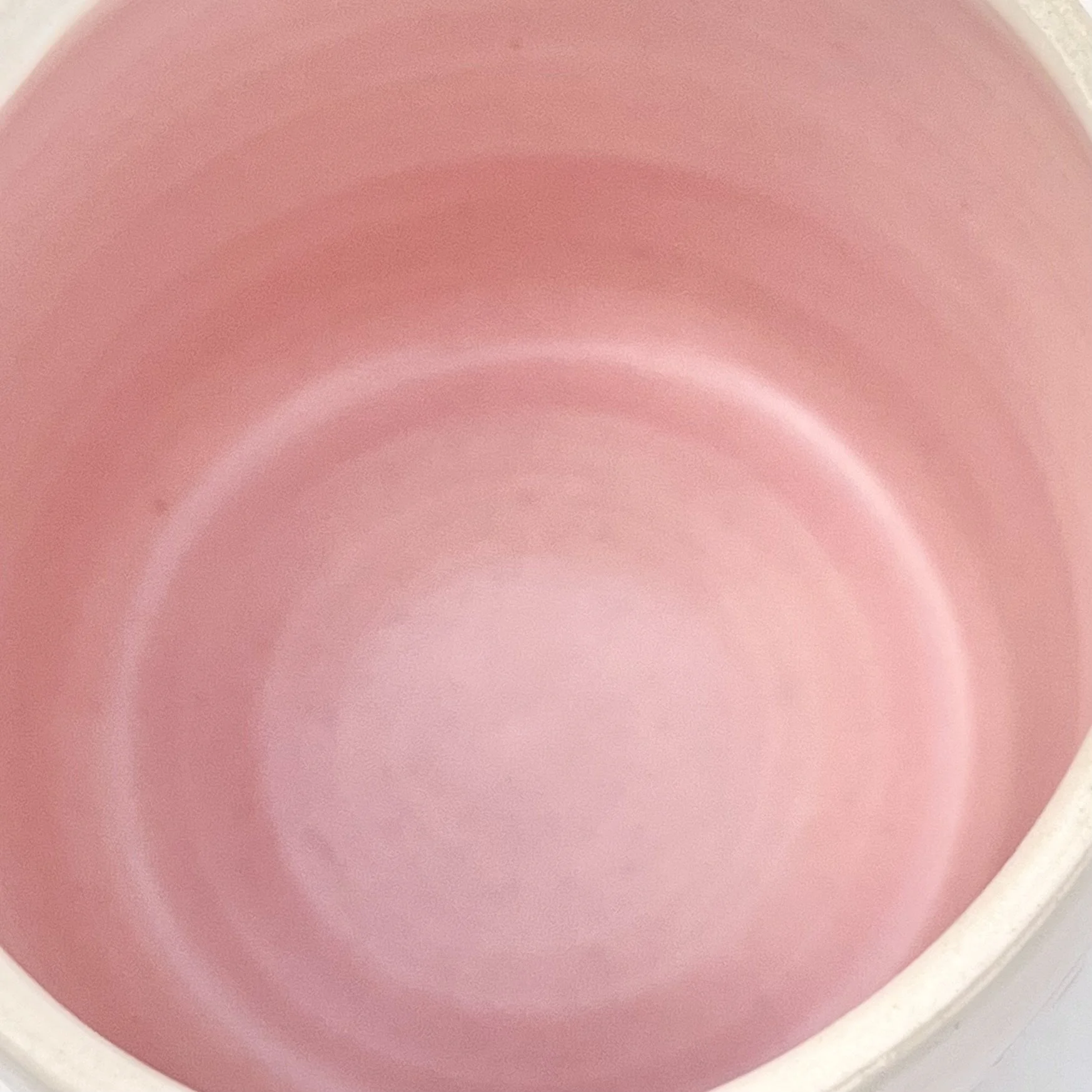 pinkinside.jpg