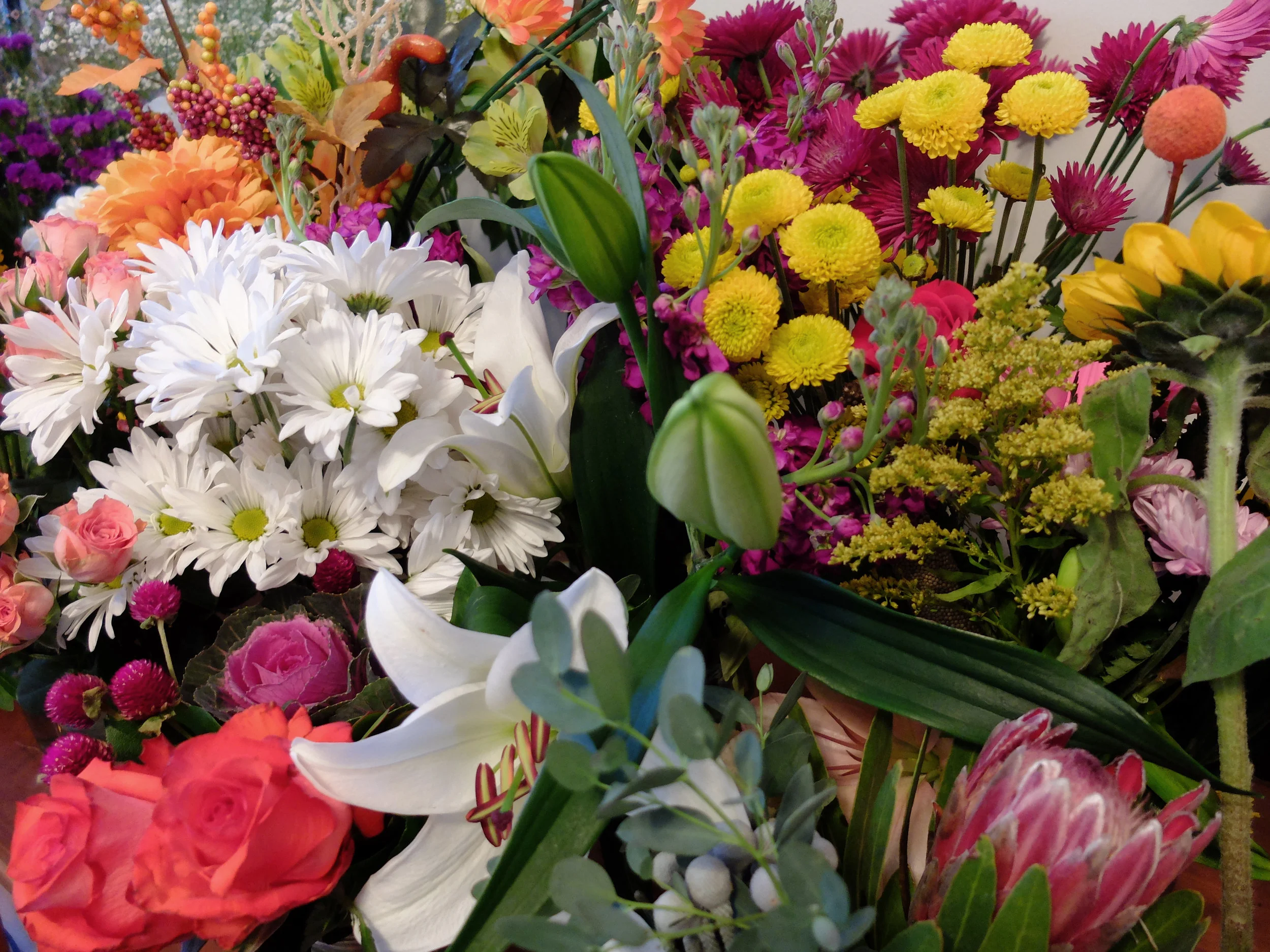 flowers2.jpg