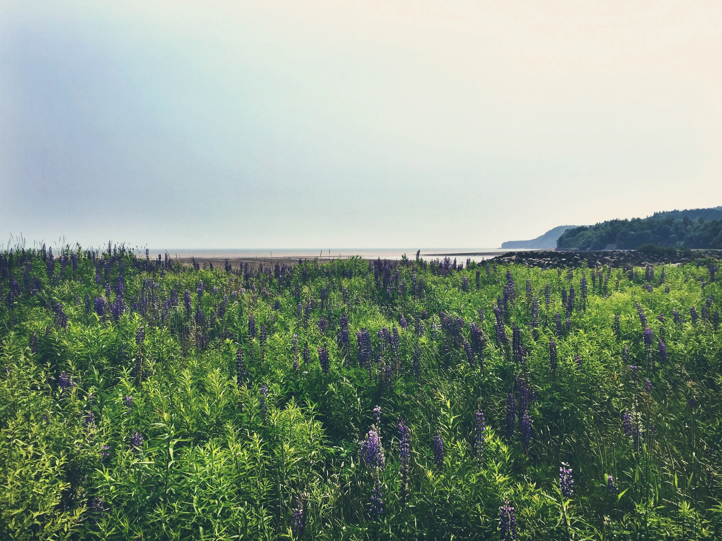 Nova Scotia and Beyond