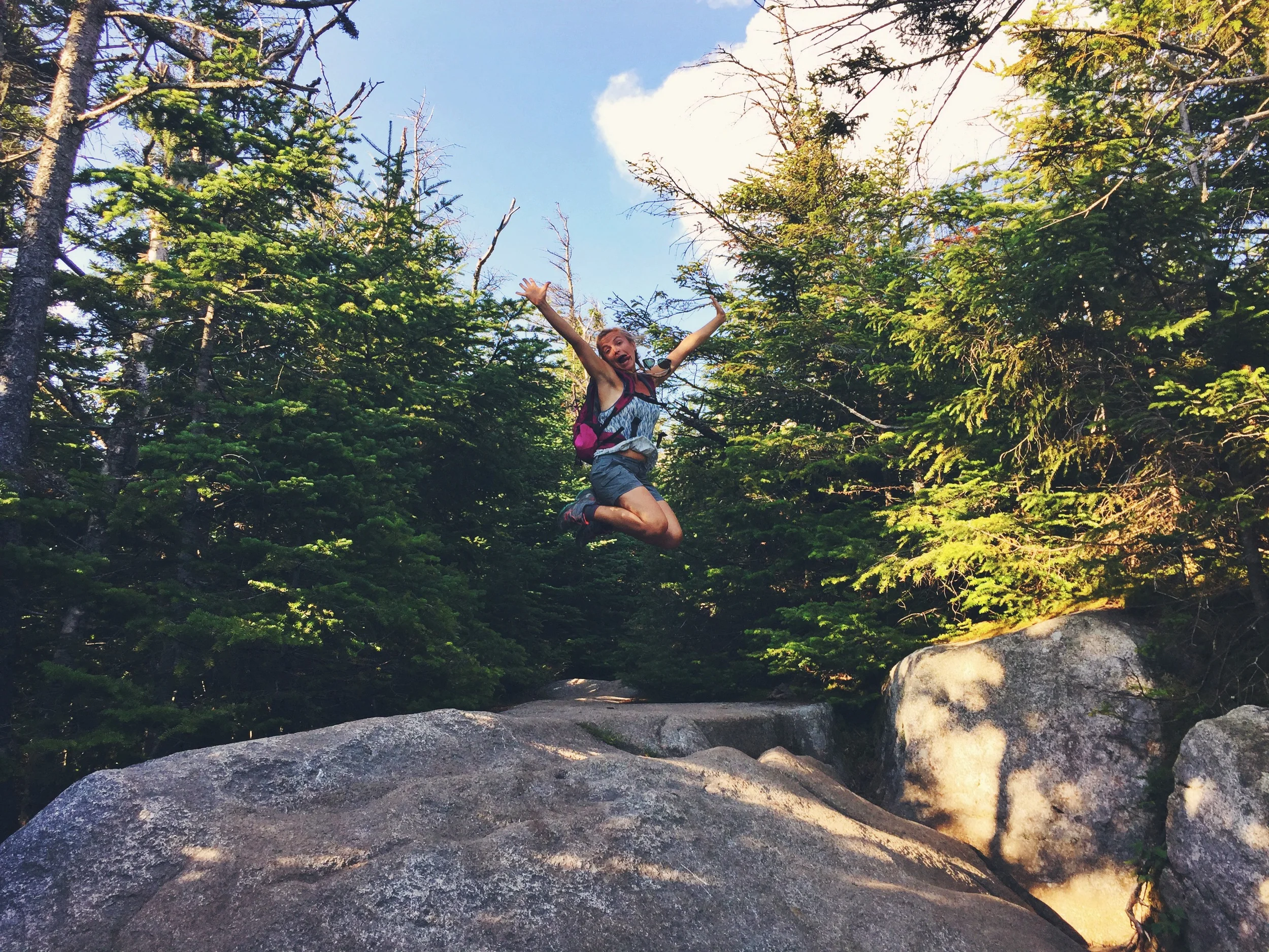 Franconia Ridge: Summer Hike