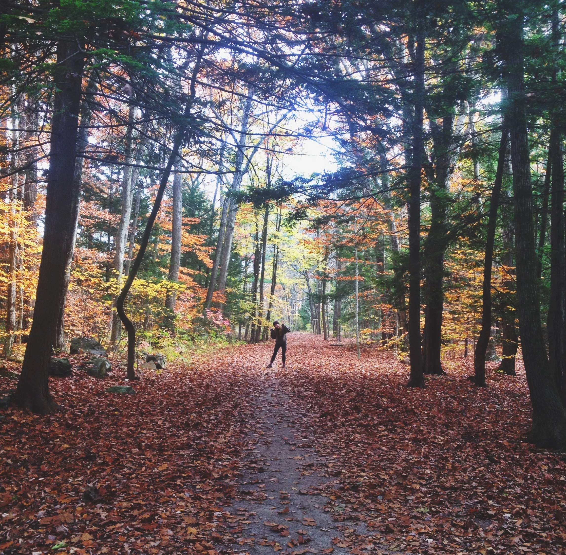 Welcome to Portland, Maine