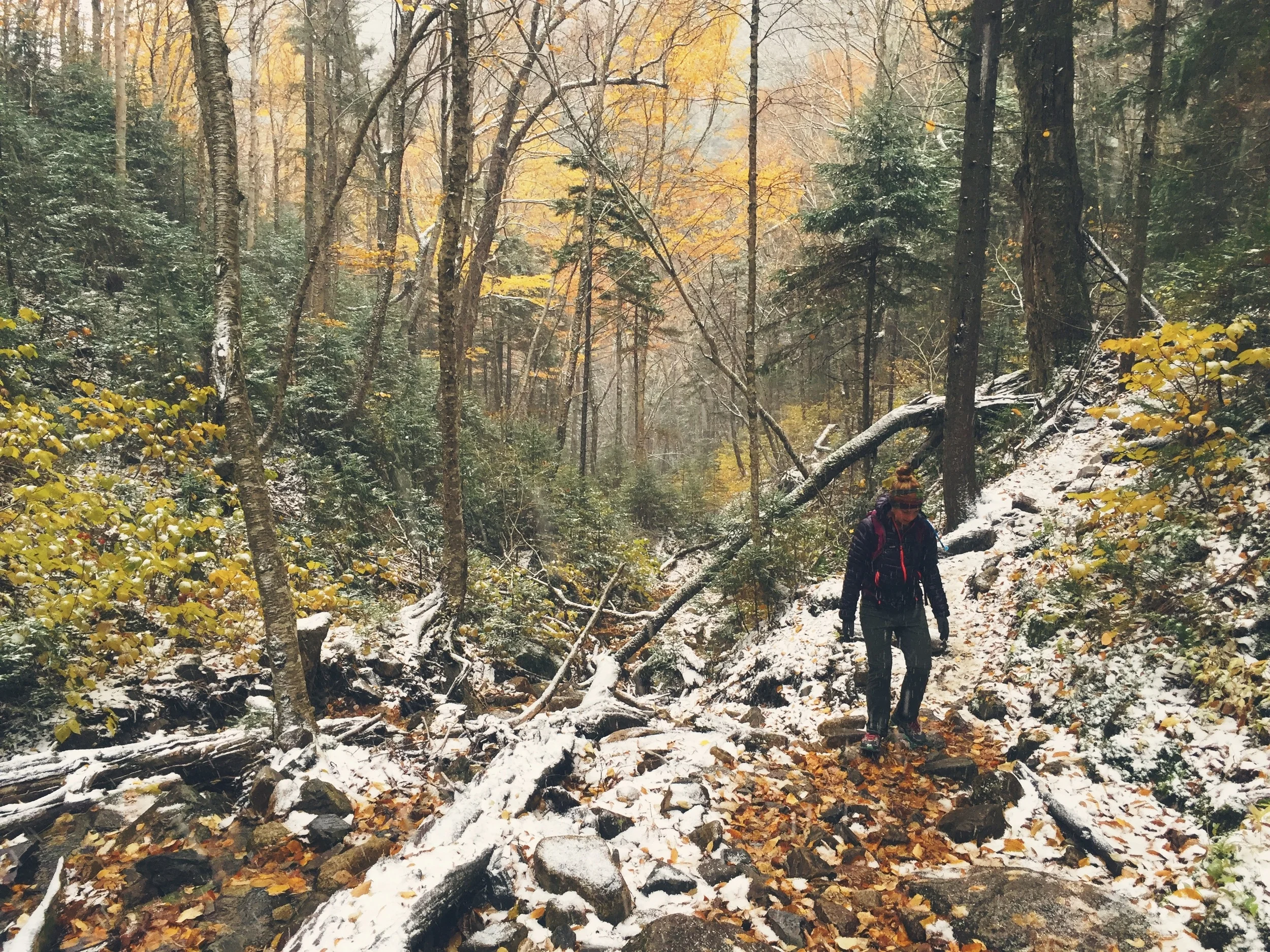 Chasing 48: Willey, Field, & Tom