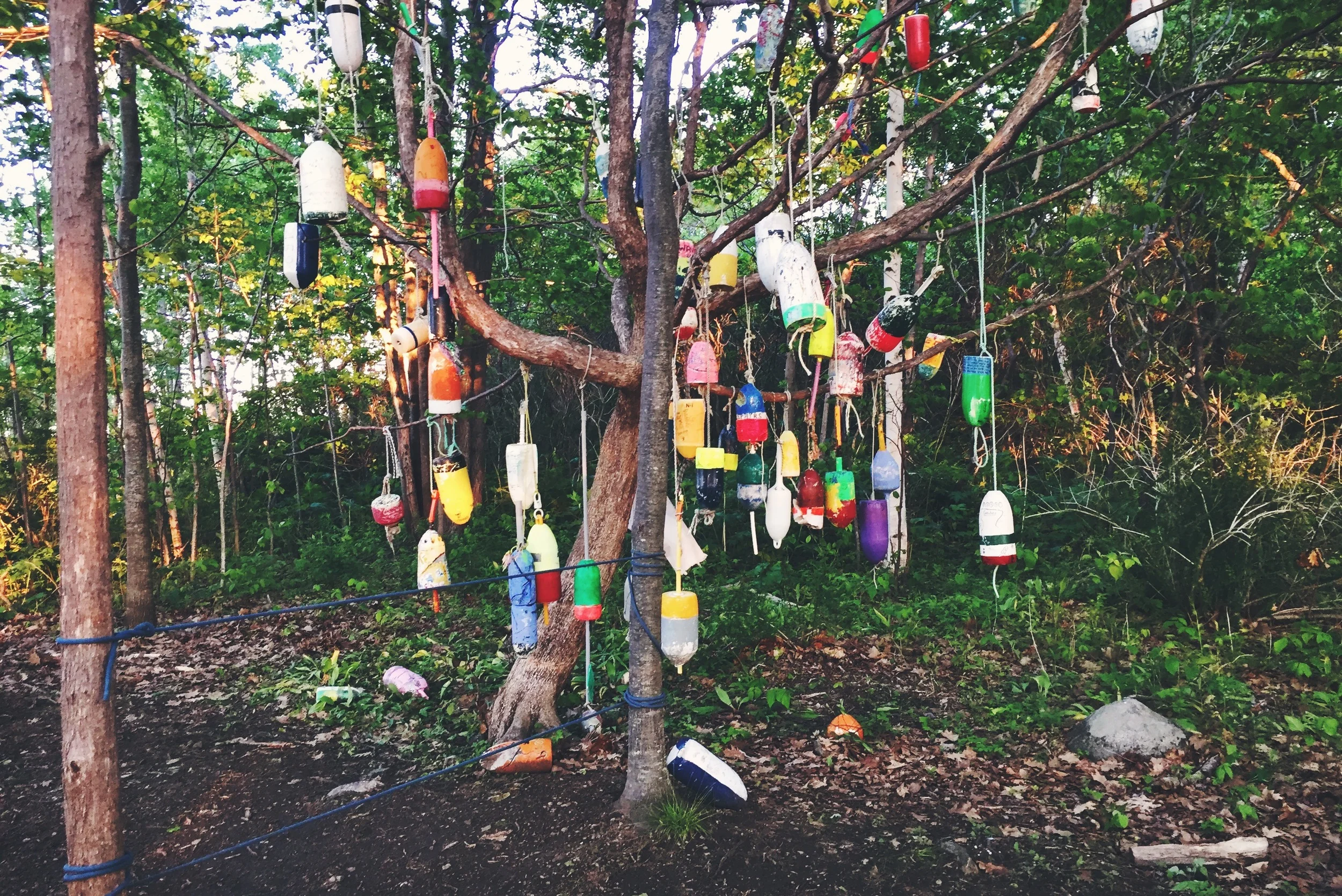 Decorative buoy trees, a common method of recycling lost lobster buoys in Casco Bay.