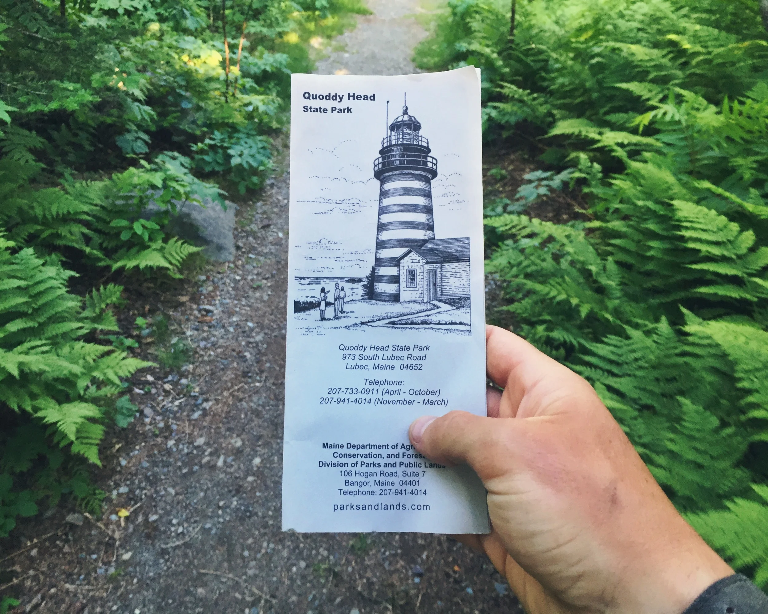 Next stop Quoddy Head State Park!